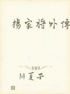 杨家将外传封面