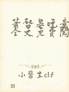 萧启晏晚意小说全文免费阅读封面