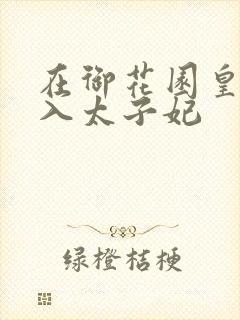 在御花园皇上进入太子妃