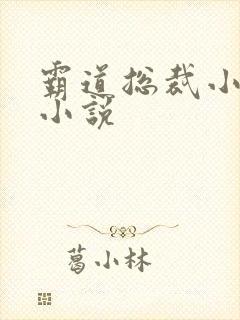 霸道总裁小娇妻小说封面