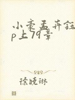 小豪孟卉钰慧三p上79章