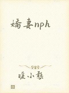 娇妻nph