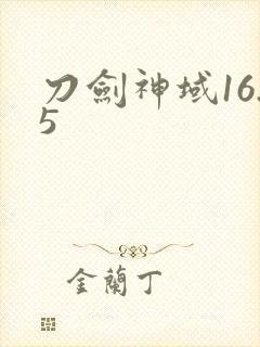 刀剑神域16.5封面