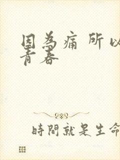 因为痛 所以叫青春