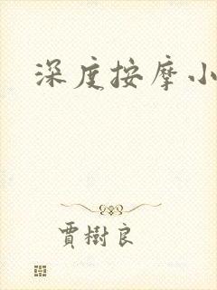 深度按摩小说
