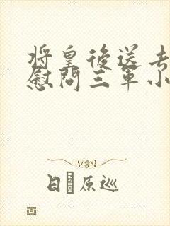 将皇后送去军营慰问三军小说封面