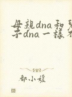 母亲dna和儿子dna一样不