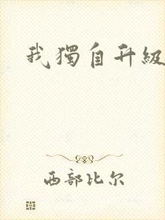 我独自升级漫画封面