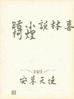 赌小说林喜朝和柯煜