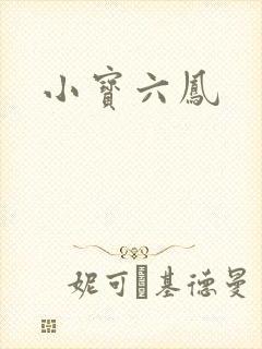 小宝六凤封面