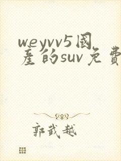 weyvv5国产的suv免费