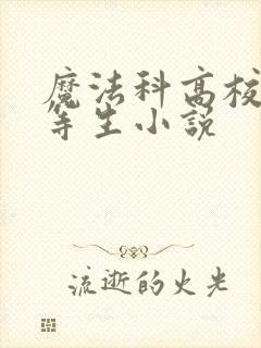 魔法科高校的劣等生小说