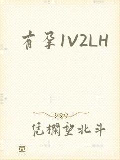有孕1V2LH