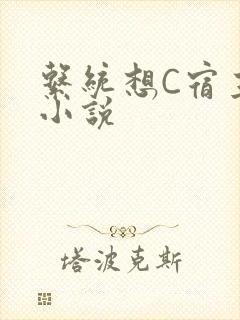 系统想C宿主的小说