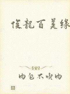 俊龙百美缘小说封面