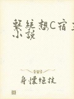 系统想C宿主的小说