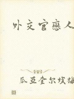 外交官恋人小说封面