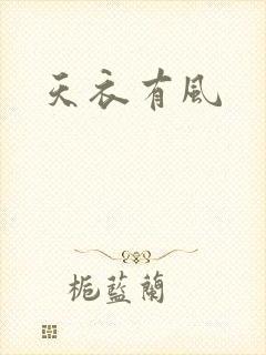 天衣有风封面