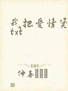我把爱情煲成汤txt