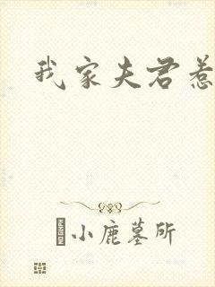 我家夫君惹不起封面