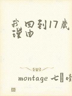 我回到17岁的理由封面