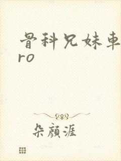 骨科兄妹车多pro