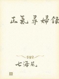 正气寻妇录
