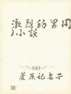 激烈的男同(h)小说封面