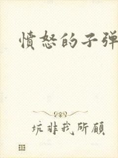 愤怒的子弹封面