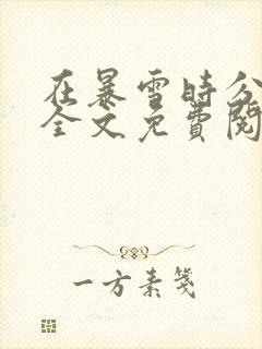 在暴雪时分小说全文免费阅读