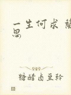 一生何求 兰思思封面