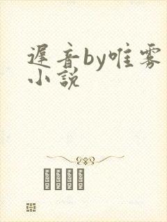 迟音by唯雾的小说