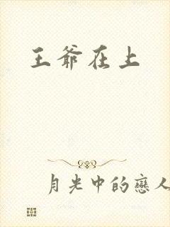 王爷在上