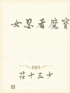 女忍者魔宝传封面