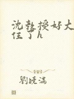 沈教授好大含不住了h