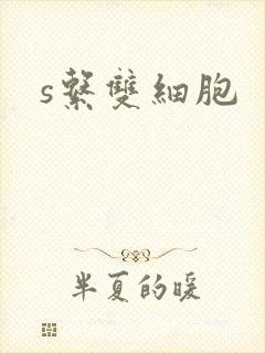 s系双细胞