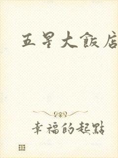 五星大饭店小说