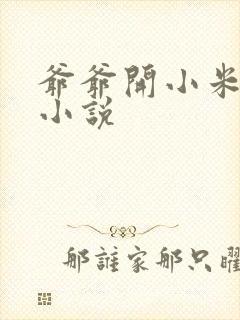 爷爷开小米的包小说