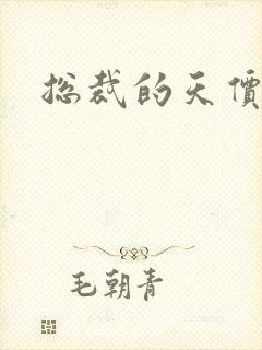 总裁的天价宠妻