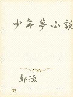 少年梦小说