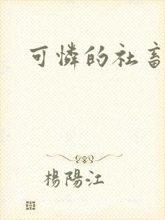 可怜的社畜小说封面