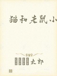猫和老鼠小说