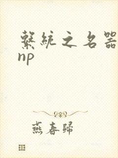 系统之名器攻略np