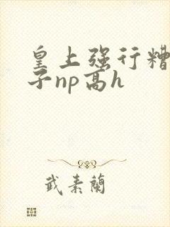 皇上强行糟蹋太子np高h