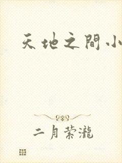天地之间小说封面