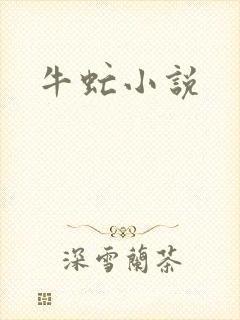 牛虻小说
