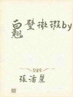 白璧微瑕by连翘