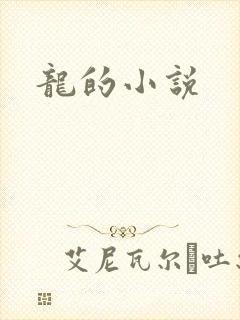 龙的小说封面