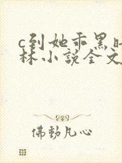 c到她乖黑暗森林小说全文阅读封面