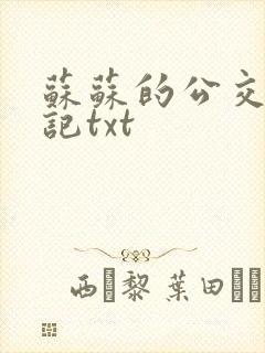 苏苏的公交车日记txt